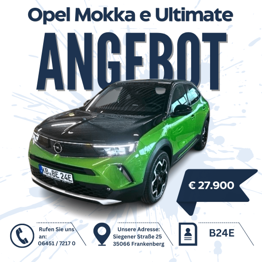 Angebot (56)